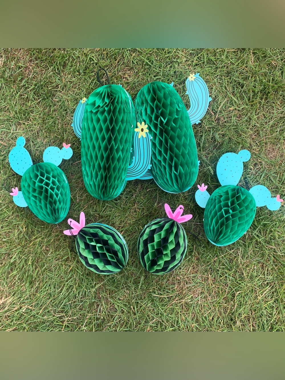 Lot of Baby Shower Decorations! Taco Bout a Baby and Succulent Themed - Picture 9 of 12